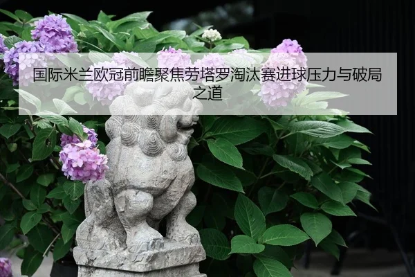 国际米兰欧冠前瞻聚焦劳塔罗淘汰赛进球压力与破局之道