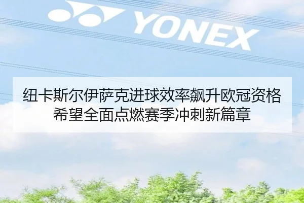 纽卡斯尔伊萨克进球效率飙升欧冠资格希望全面点燃赛季冲刺新篇章 | kaiyun