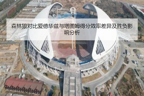 森林狼对比爱德华兹与塔图姆得分效率差异及胜负影响分析
